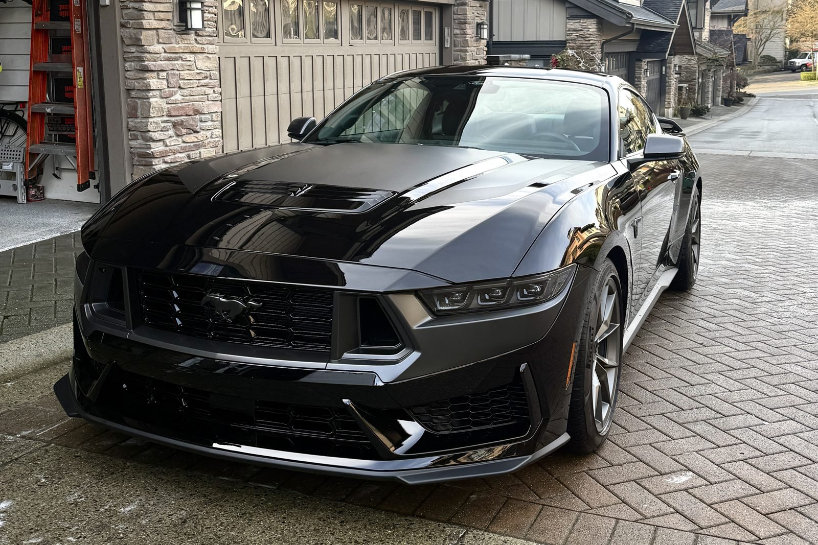 Mustang Dark Horse after professional mobile detailing